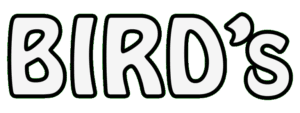 Bird's